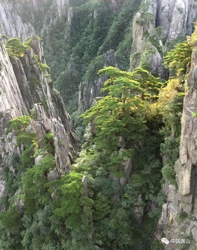 机甲英豪D